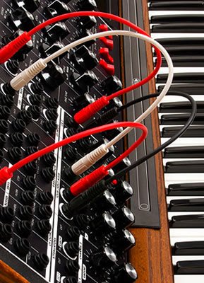 Moog Minimoog Voyager XL